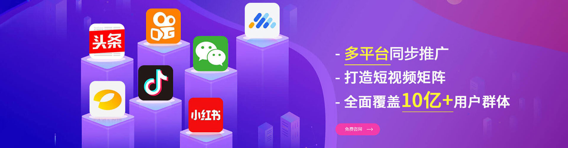 葵青sem主管